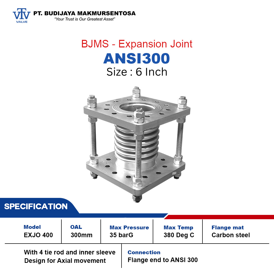 BJMS EXJO Expansion Joint ANSI 300 - 6 Inch