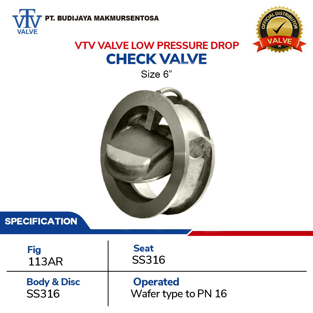 BJMS - VTV Valve Low Pressure Drop Check Valve - Size 6 Inch
