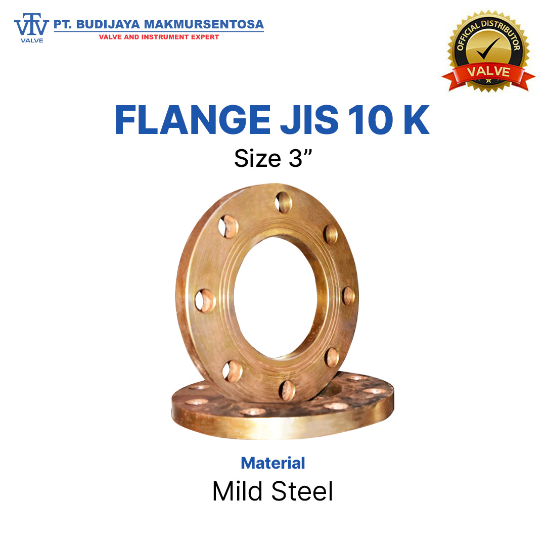 Flange JIS 10K Mild Steel - 3 Inch