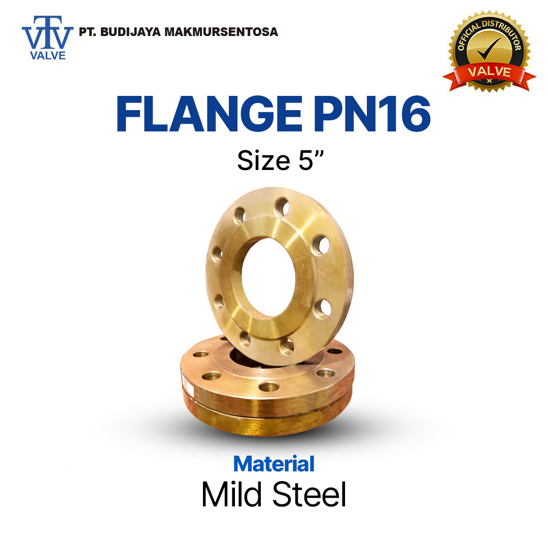 Flange PN 16 Mild Steel - 5 Inch