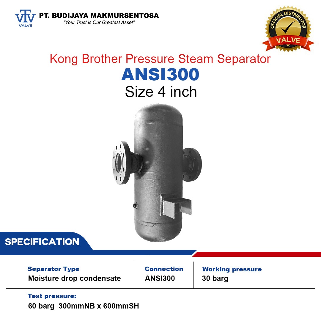 Kong Brother Pressure Steam Separator ANSI300 - Size: 4 Inch