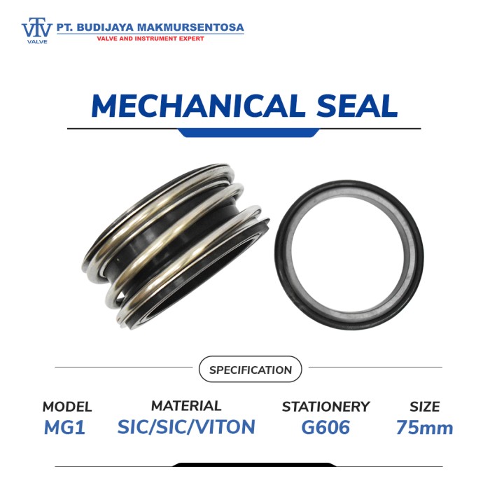 Mechanical Seal MG1 Stationery : G606 SIC/SIC/VITON - Size 75 mm