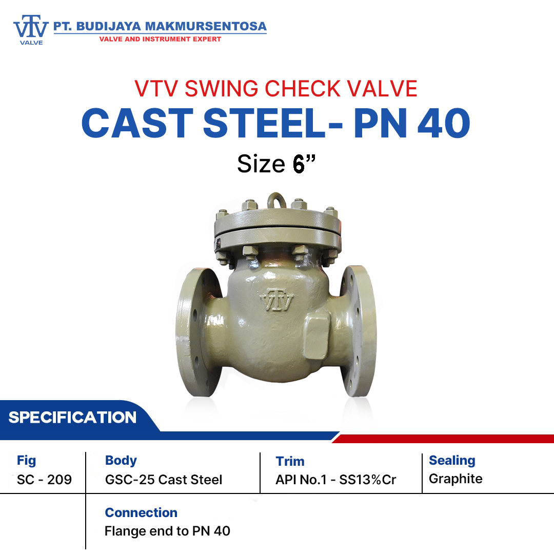 VTV SWING CHECK VALVE CAST STEEL - PN40 SIZE 6 INCH