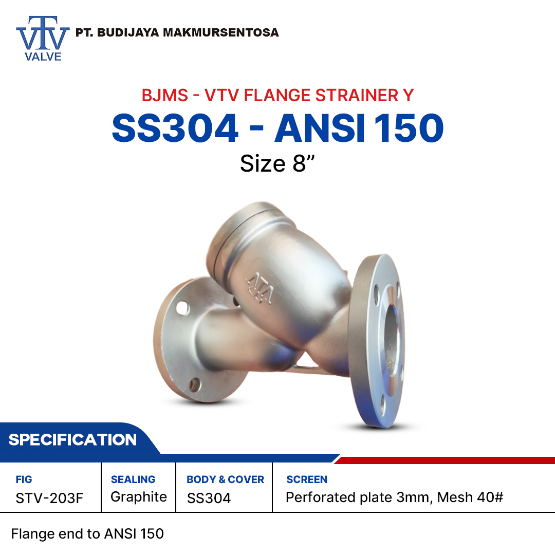 VTV Y Strainer SS304 ANSI 150 - 8 Inch