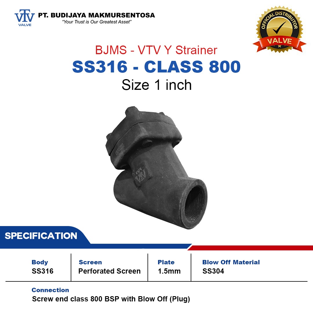 VTV Y-Strainer , SS316 ,Screw end class 800 BSP - Size : 1 Inch