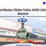 distributor globe valve ansi 300 di banten