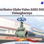 distributor globe valve ansi 300 di palangkaraya