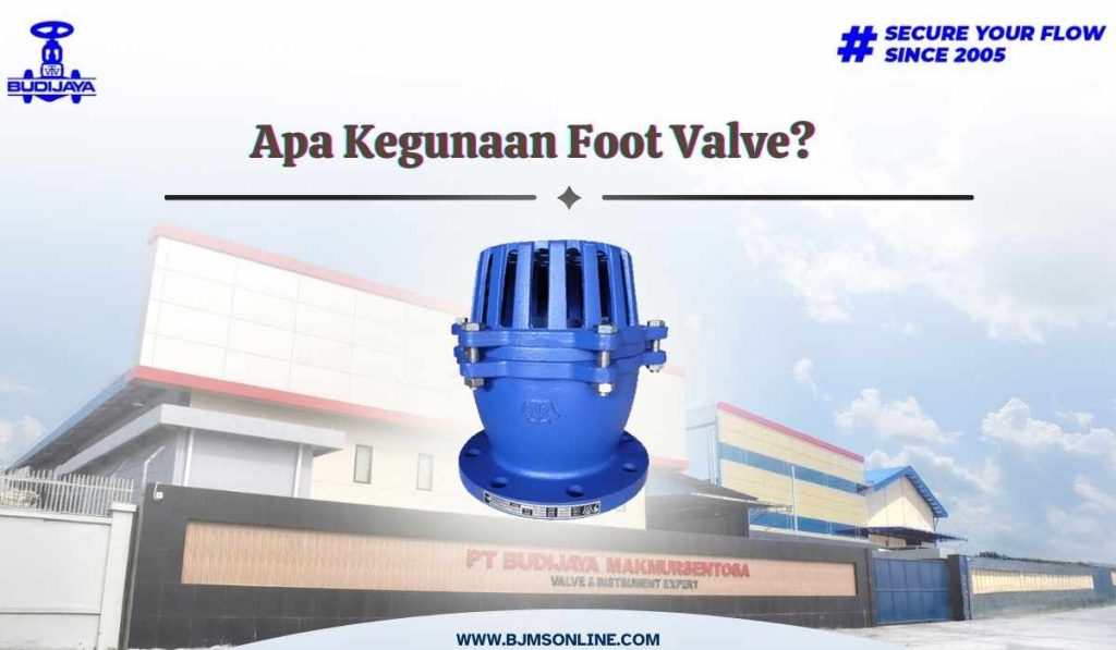 apa kegunaan foot valve