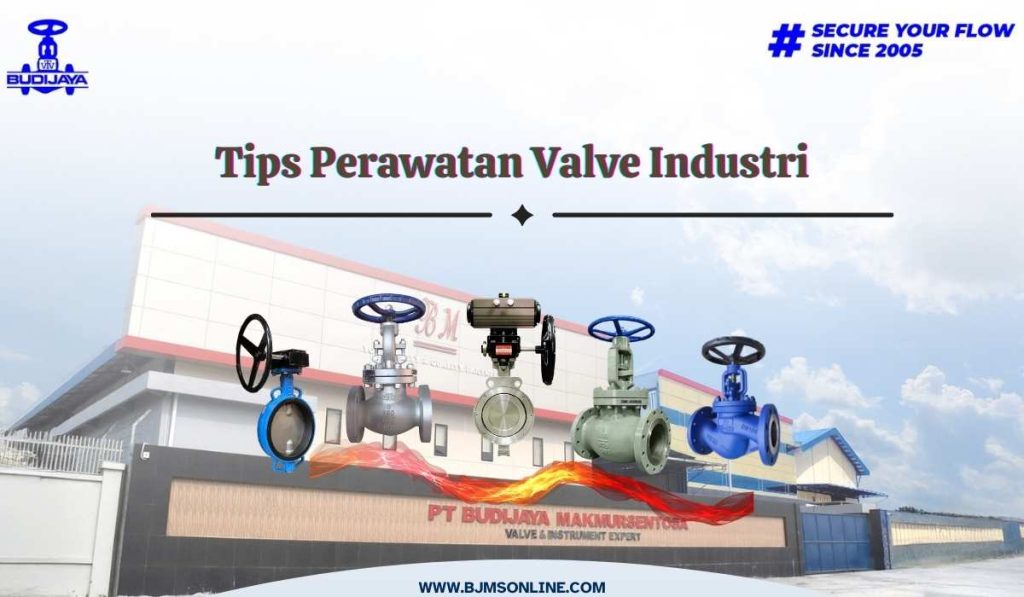 Tips Perawatan Valve Industri agar lebih awet