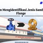 Panduan Mengidentifikasi Jenis Sambungan Valve Flange