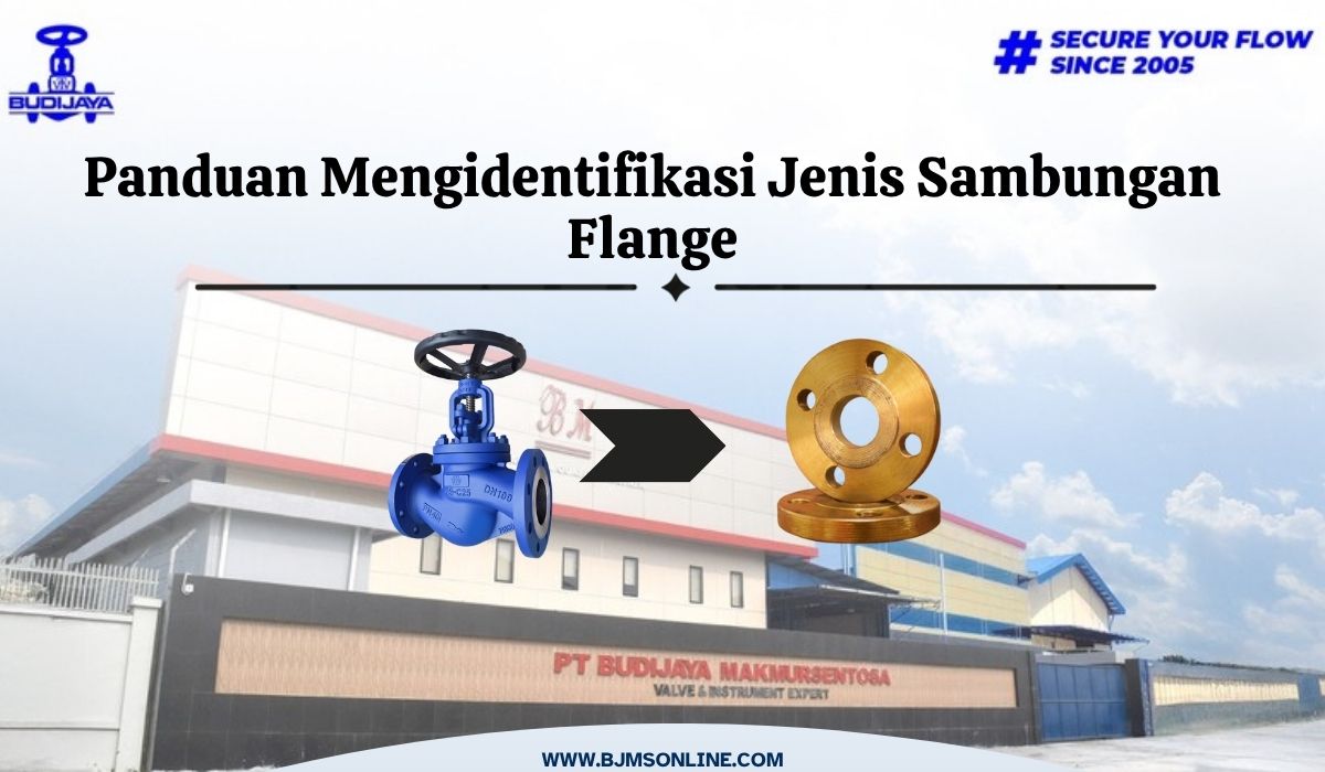 Panduan Mengidentifikasi Jenis Sambungan Valve Flange